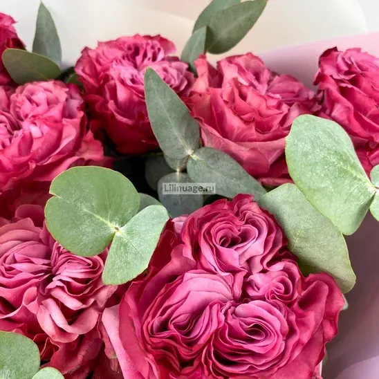 Пионовидные розы «Великoлепная Кантри» - фото 5