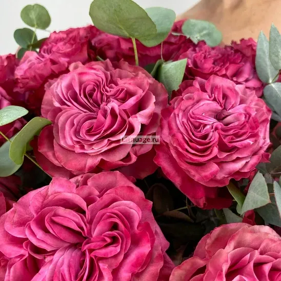 Пионовидные розы «Кантри Блюз 15 шт» - фото 3