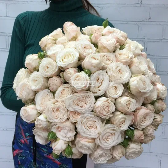 Пионовидные розы «Букет из роз  "Бомбастик"» - фото 1