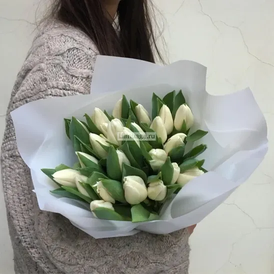 Тюльпаны «Букет из 25 белых  тюльпанов» - фото 1