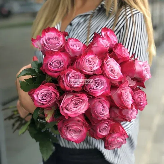 Розы «Букет 25 роз "Дип Перпл"» - фото 1