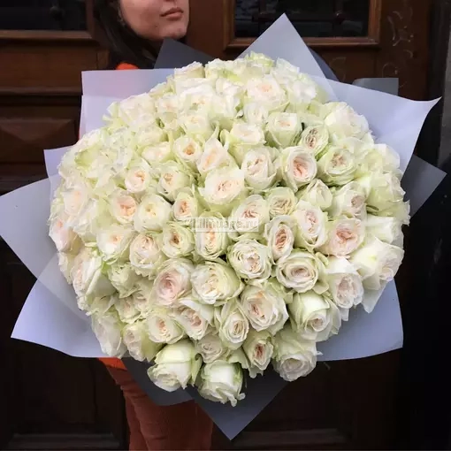 101 ароматная пионовидная роза White o'hara. Цена – 32080 руб. Арт – 1741