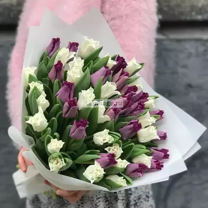 Микс из 49 тюльпанов-поцелуев «Черника со сливками». Цена – 9900 руб. Арт – 2054 - №1