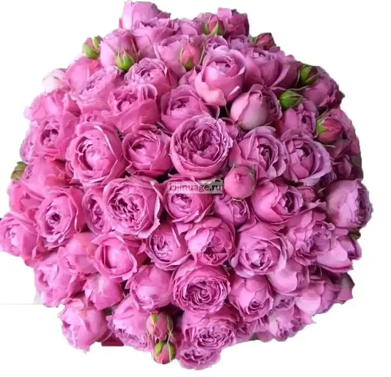 Пионовидные розы «Розы Мисти Бабблс в шляпной коробке» - фото 3