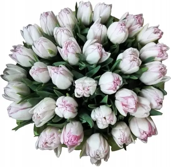 Тюльпаны «Тюльпаны в шляпной коробке "Пудровый цвет"» - фото 3