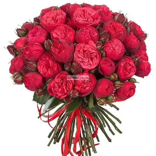 Пионовидные розы «Букет пионовидных роз «Red piano»» - фото 2