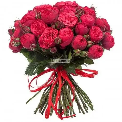 Пионовидные розы «Букет пионовидных роз «Red piano»» - фото 4