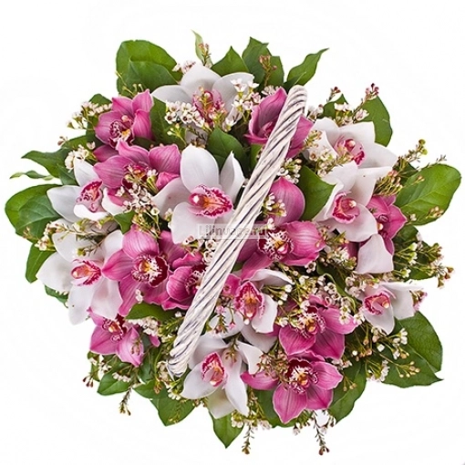 Корзина с розовыми орхидеями. Цена – 9000 руб. Арт – 5643