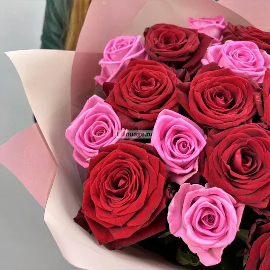 Розы «19 красно-малиновых роз» - фото 3