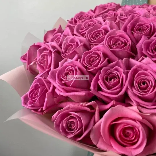 Розы «51 роза Аква» - фото 5