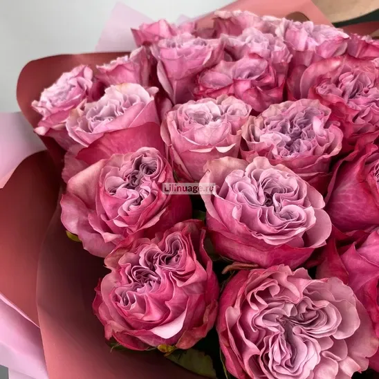Пионовидные розы «Кучерявые розы Кантри Блюз» - фото 3