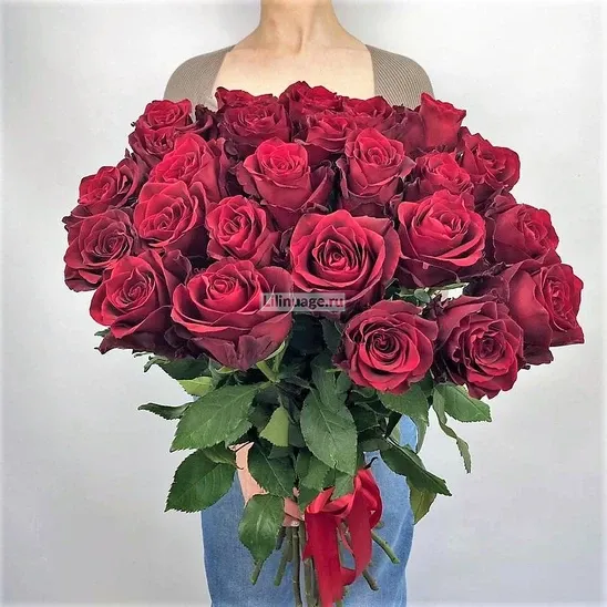 Красные Розы «Эквадрские розы Эксплорер 25 шт.» - фото 3
