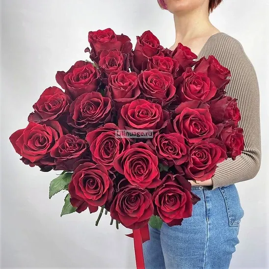 Красные Розы «Эквадрские розы Эксплорер 25 шт.» - фото 2