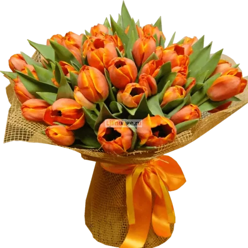Букет из оранжевых тюльпанов 51 штука. Цена – 11770 руб. Арт – 625 - №1