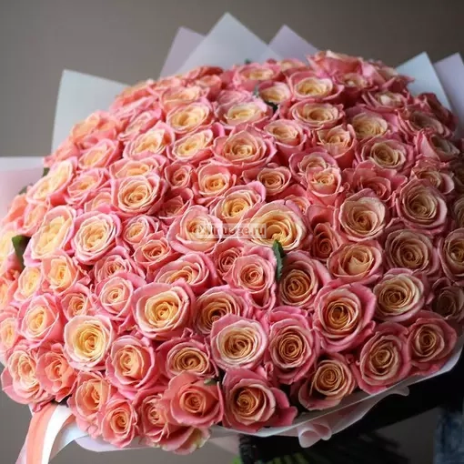 Букет "101 коралловая роза". Цена – 15400 руб. Арт – 637 - №1