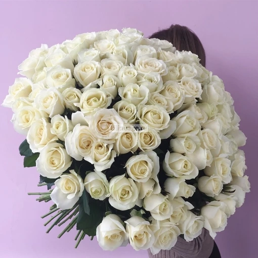 Букет белых роз. Цена – 19020 руб. Арт – 859