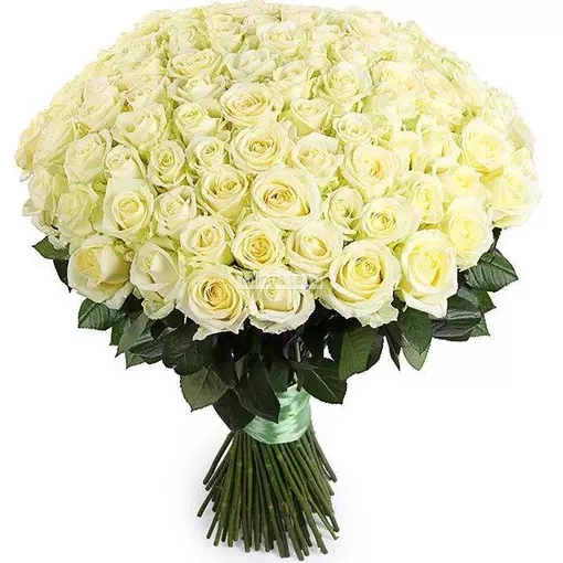 Букет белых роз. Цена – 15400 руб. Арт – 859 - №2